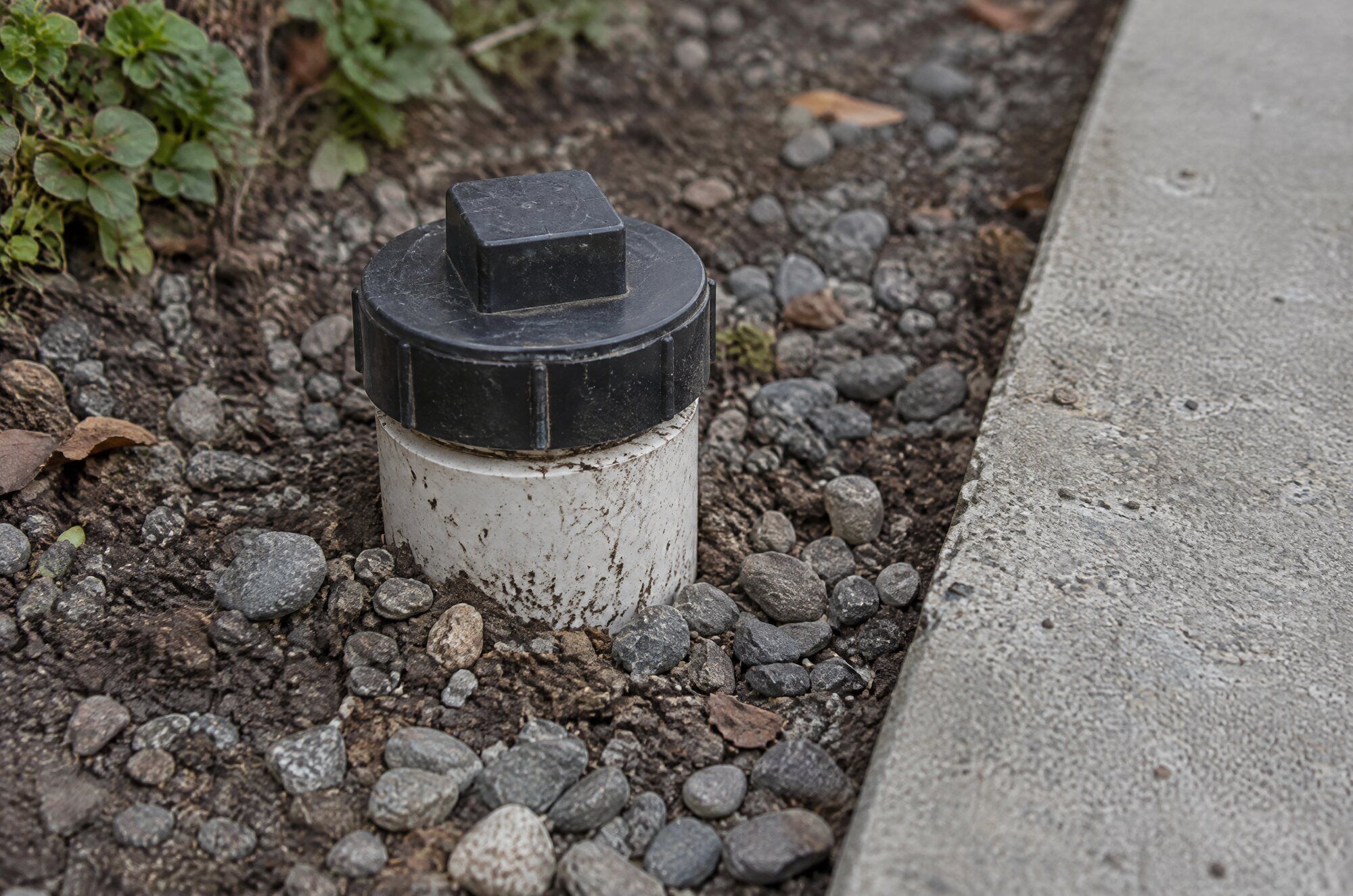 A sewer cleanout cap on a short pipe stub beside a sidewalk edge. A generic illustrative image.