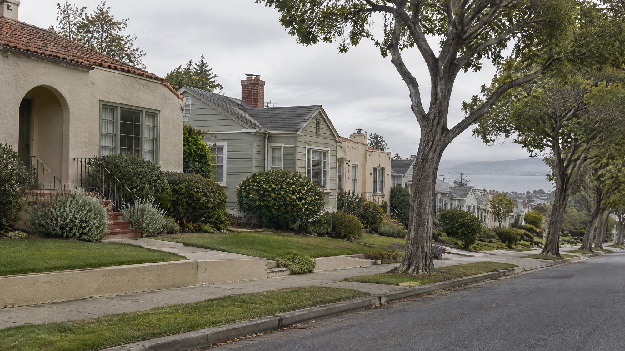 A residential street with older houses and mature street trees. A generic illustrative image.